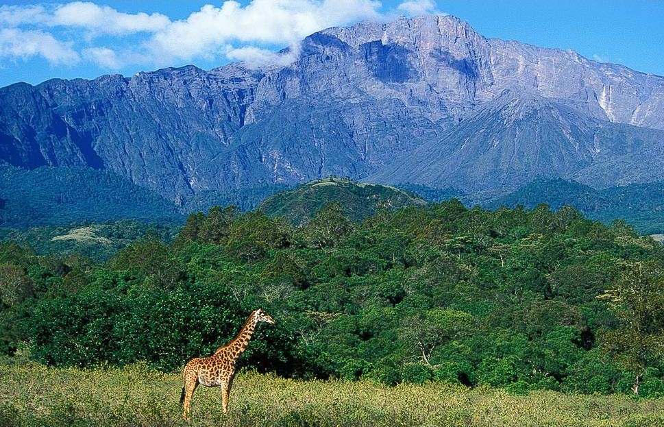 Arusha National Park