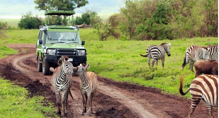 Tourists getting closer view