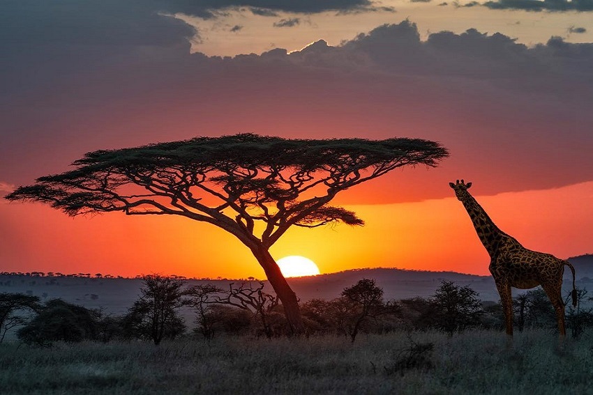 Serengeti National Park