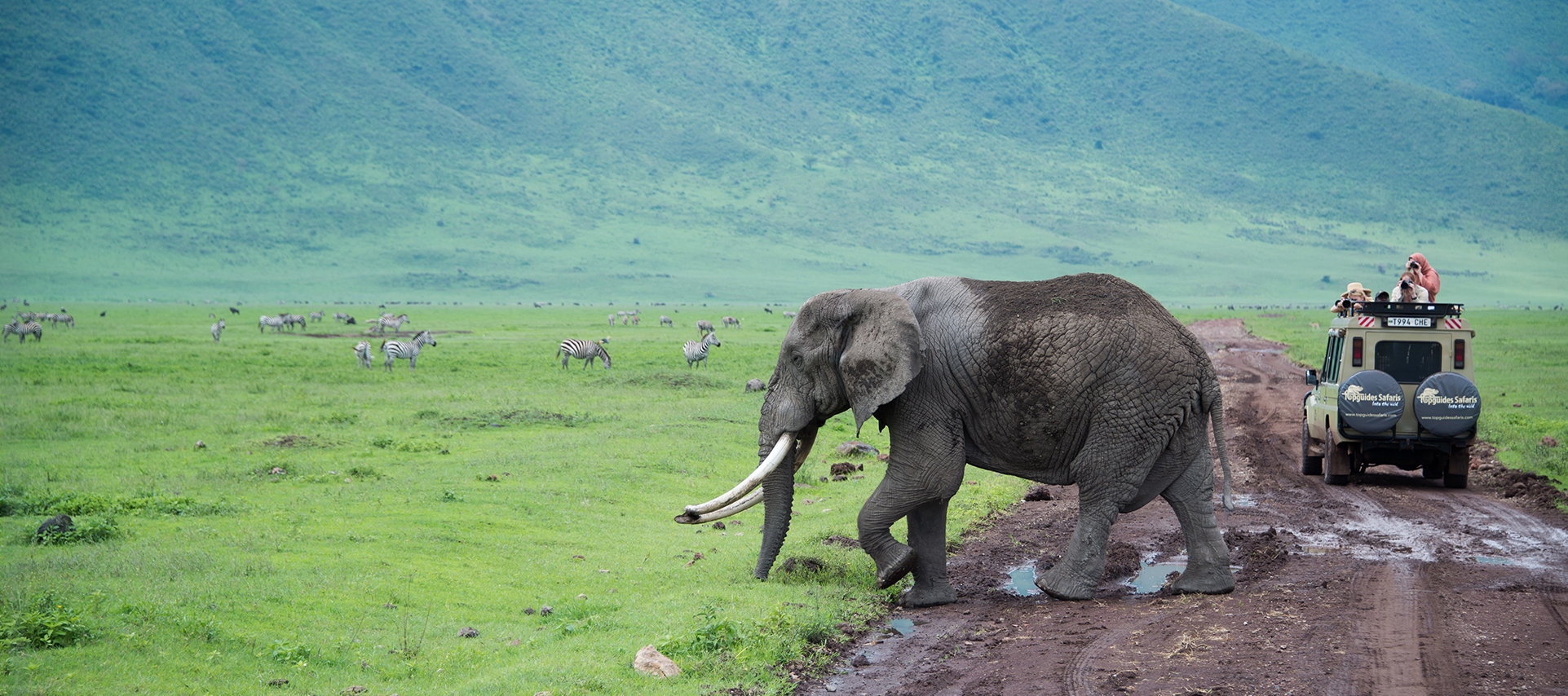 Worldwide freight services